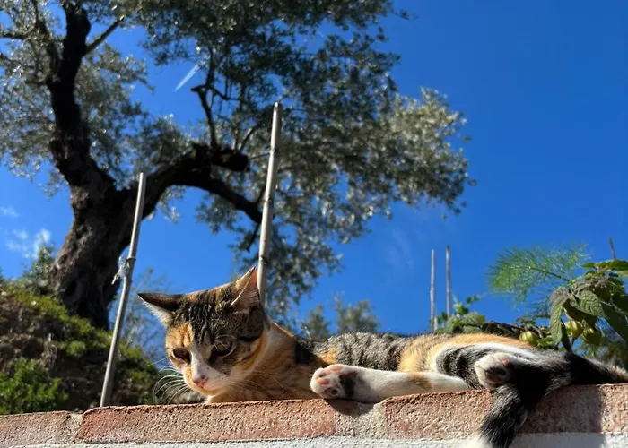 La Colina Buena - Cosy Casita For Nature Lovers